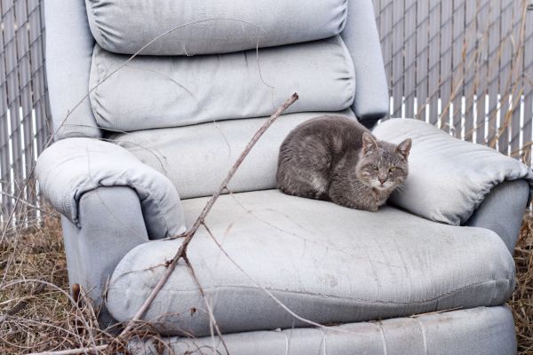 Recliner Disposal in Kingsport